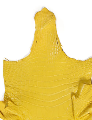Da cá sấu Crocodile Henglong màu Vàng tươi mờ (Matte Ferry ) Gr4/Size 30cm