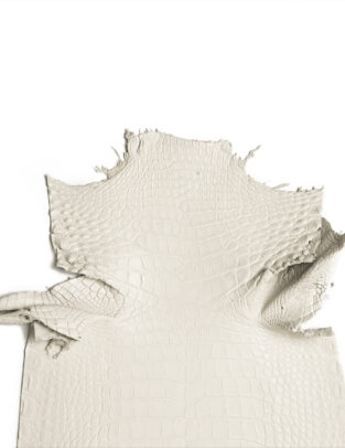 Da cá sấu Alligator Henglong Latte* A/F1 Gr4/ Size 28cm