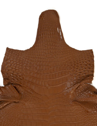 Da cá sấu Alligator Henglong Mavala* A/F1 Gr4/ Size 32cm