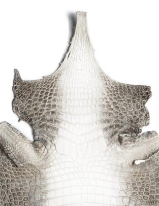 Da cá sấu Crocodile màu Himalaya Gr1/ Size 35cm