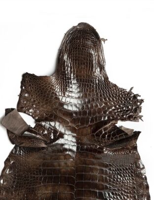 Da cá sấu Alligator Ý màu Nâu loang (Brush Brown) bóng Gr2 Size 35cm