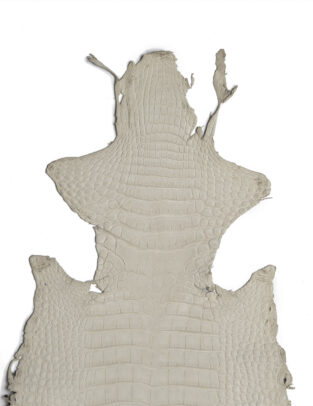 Da cá sấu Alligator HCP màu Ghi Nubuck Gr2/Size 30cm