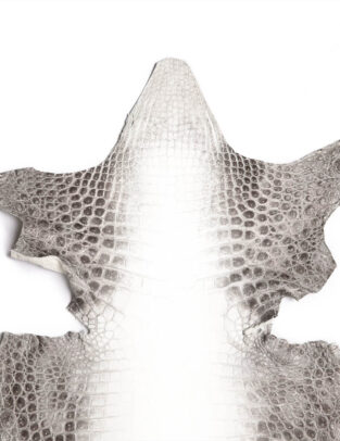 Da cá sấu Crocodile màu Himalaya Gr1/ Size 33cm
