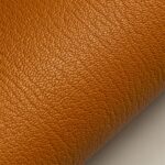 Cam tươi( Tangerine)